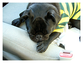 �������������E�E�E�E�E